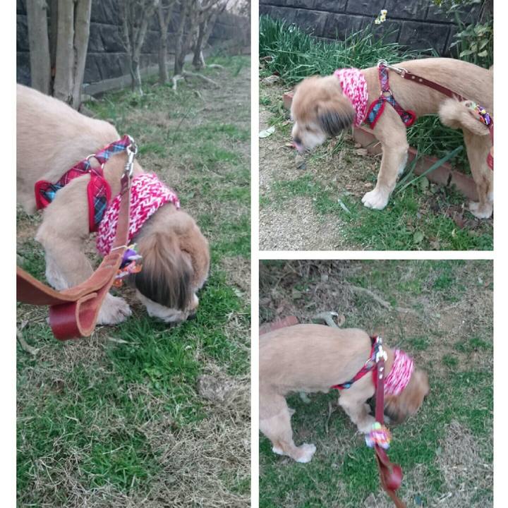 23927978 de1f 4d81 9048 64471fe74464