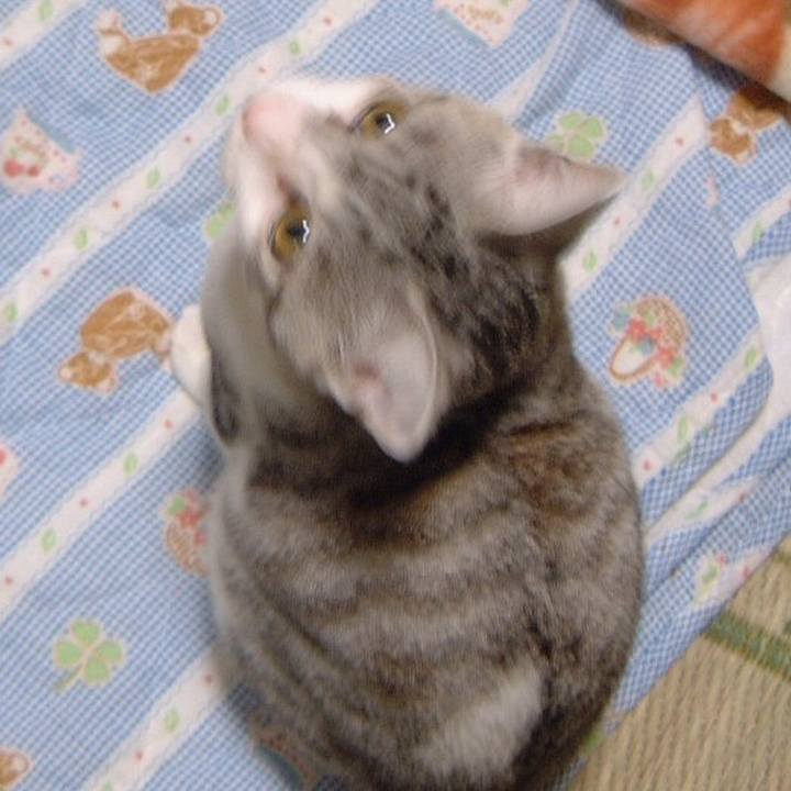 23935bb9 cc59 4518 95cc 4f48a3a243c3