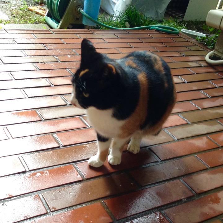 2393690c b9e9 434b b9c0 6b6cd7d48dea