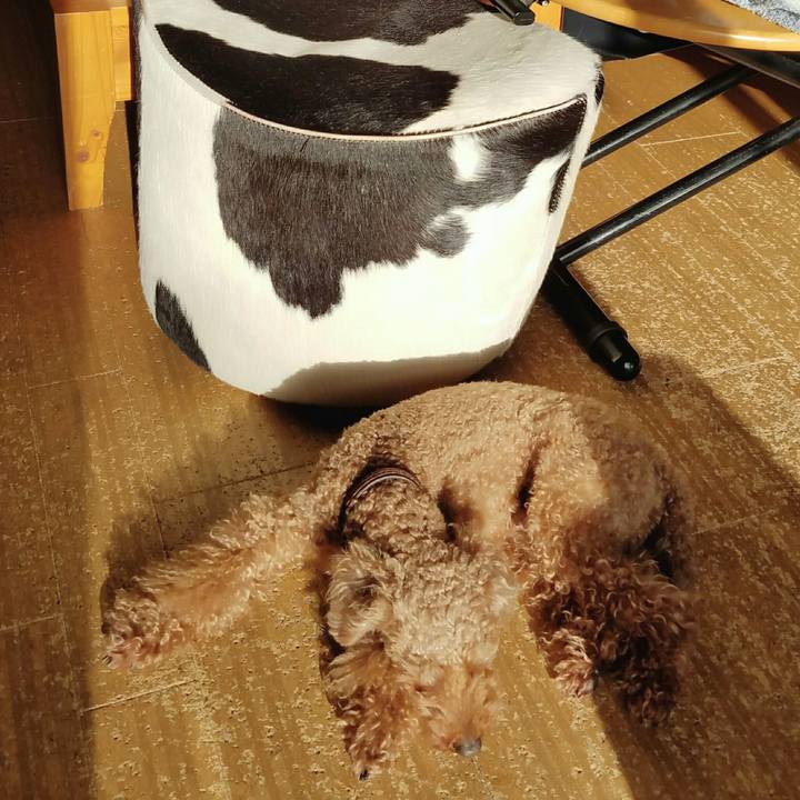 2393a26e 1df3 4a0c 9c67 5713e9b7286c