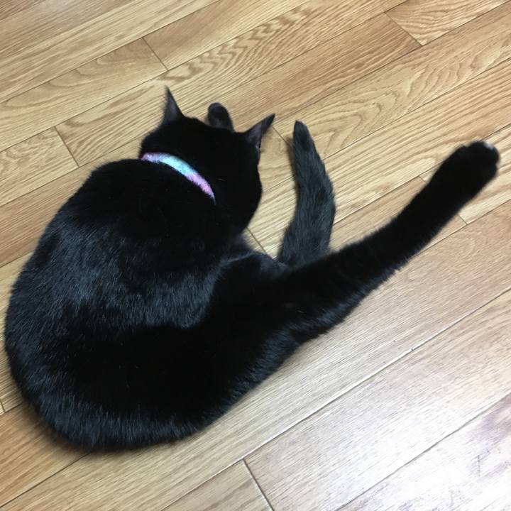 239405dd 514f 4406 9cb1 f08268d7e7a7