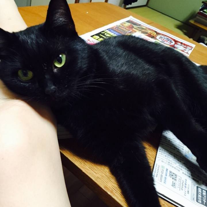 2394393a 00bb 4731 97c5 07a53aec3904