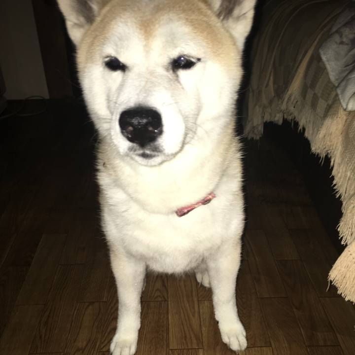 2394961e c763 4a42 ade6 f5a96f79f832