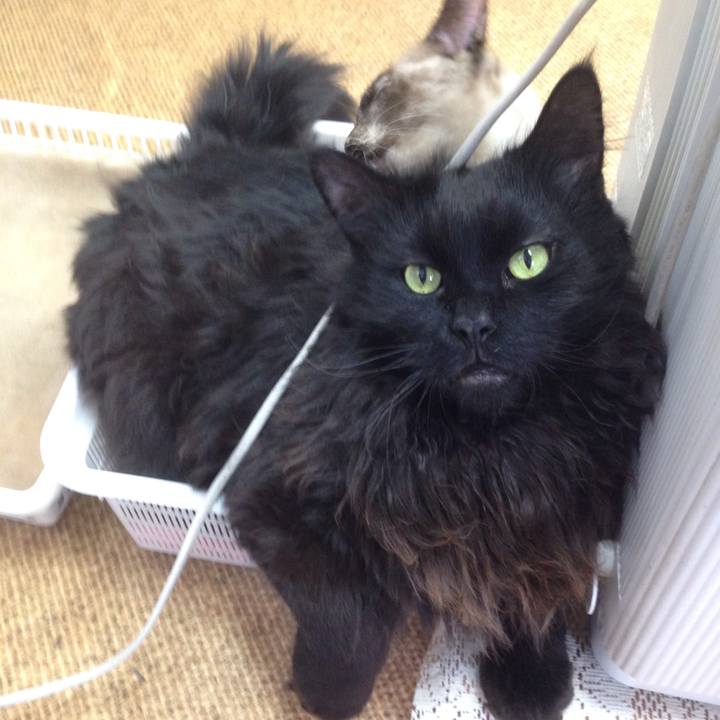 2394d1a4 fdd0 4fa1 bcad 94f602274869