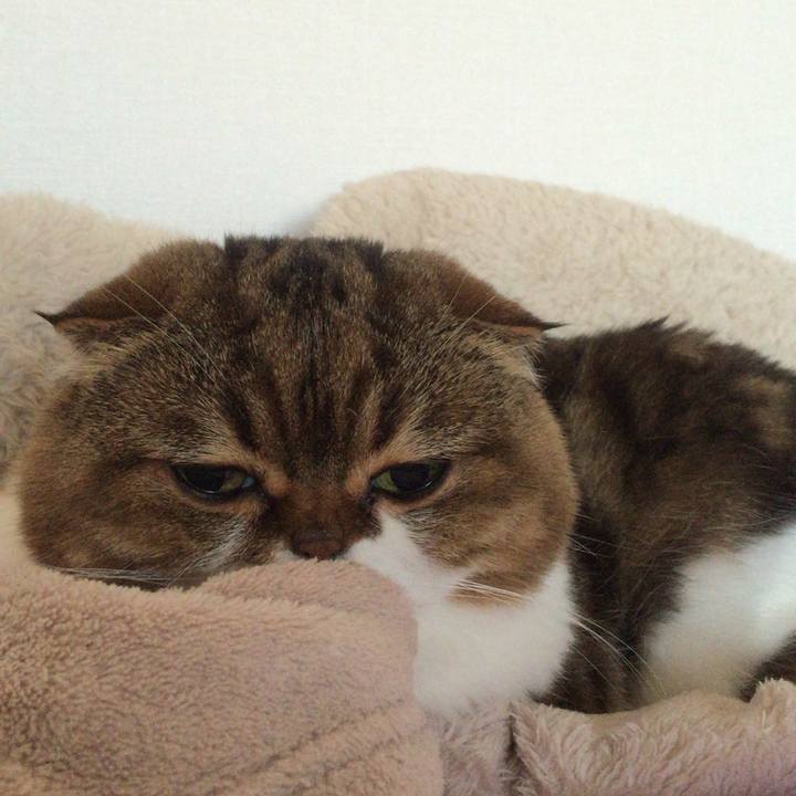 2394dd4e ae58 41e2 96cc c211761ce869