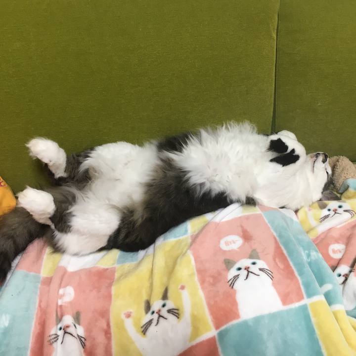 23965de6 145f 4e15 8928 0552bf116c8a