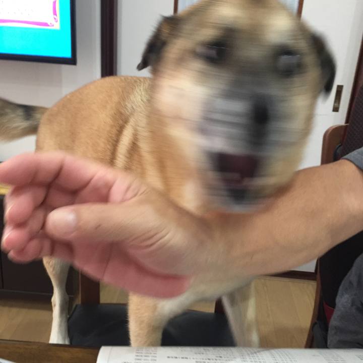 2396b928 d03f 4734 920f 1fcdb2bc5497