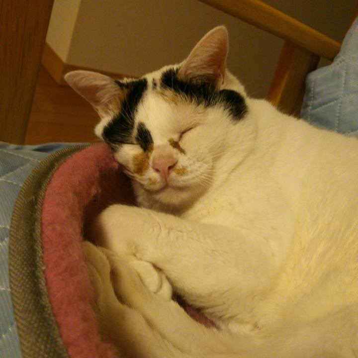 2396bf47 d021 4966 908b 5c4b9afc6755