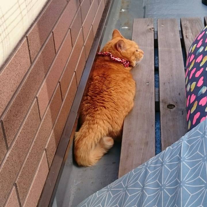 239746b0 1da2 4e0d ac22 3f50e15ef0a2