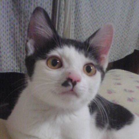 239873d5 149c 434d aacf 90ede11ea01c