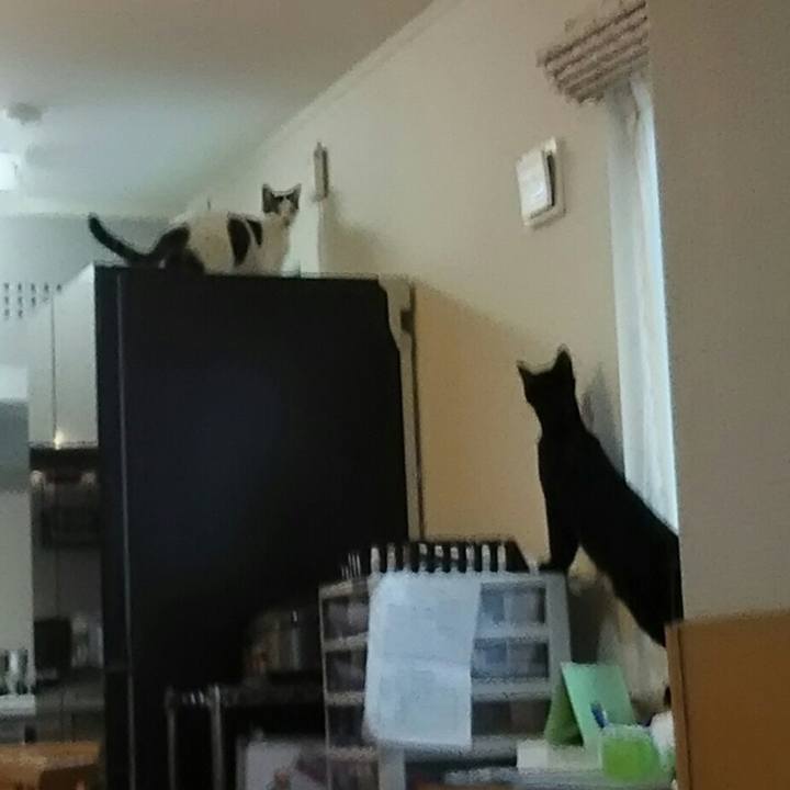 2398868d 8bb1 4bc1 a4ad 61b0001eefb8