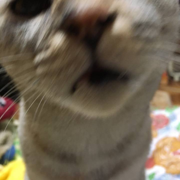 23989b86 b9ff 43d5 bc19 5570b29d174d