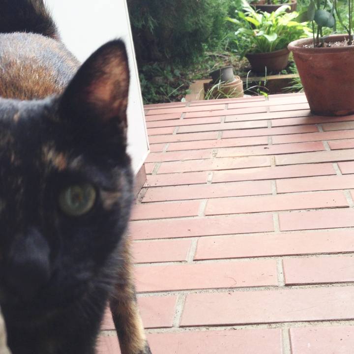 23999ca6 e533 4bf2 8d77 2bf209ee4166