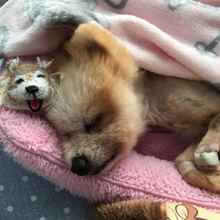 239a14e0 8153 40b3 997a 33df994bfada