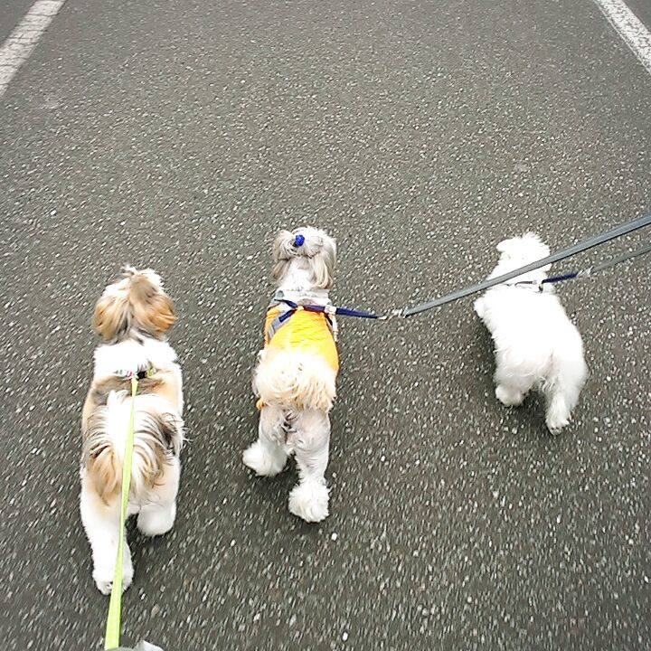 239b3b6a d0d2 46e9 9b42 482cf700538d