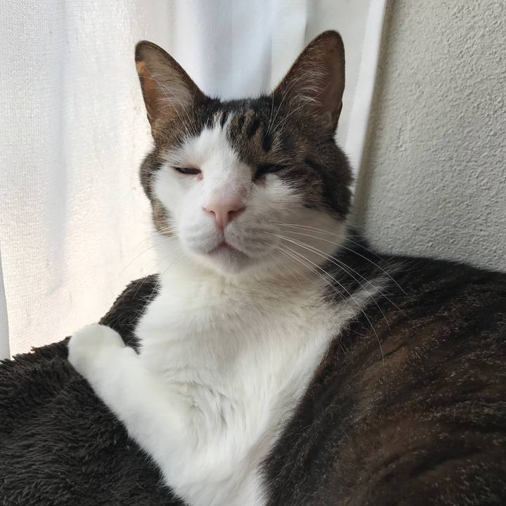 239b4155 fcb9 4428 9507 c3e179961c41