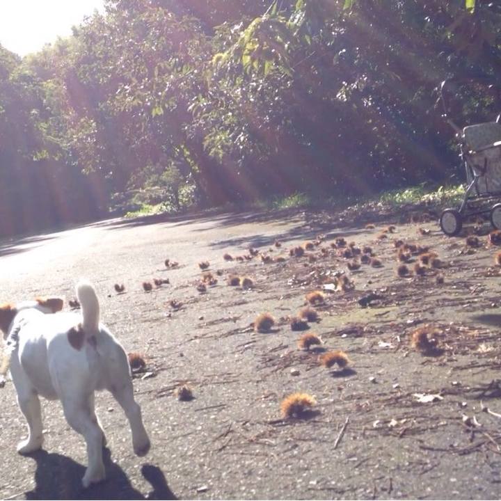 239b7aa1 631a 4103 b91b f663246e63eb