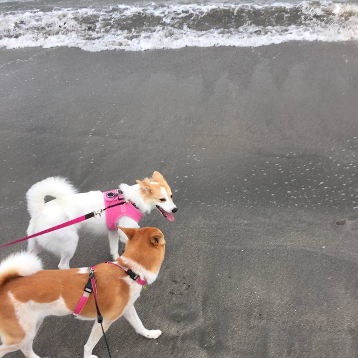 239b923b d162 4f2f 96f2 632d0de8fba4