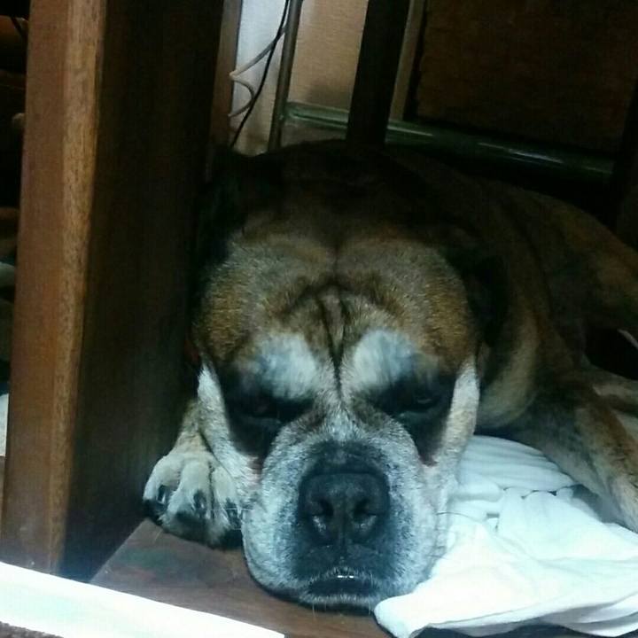 239c0762 2dbf 42bd be3d 0c001231abd8