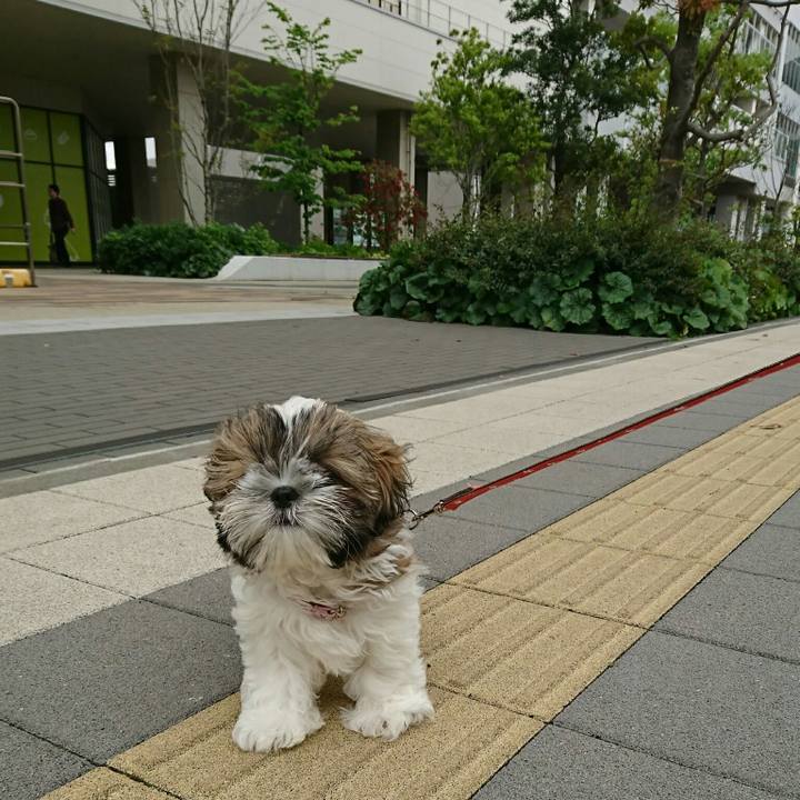 239c1f80 5c32 4e45 84c3 786aade8594a