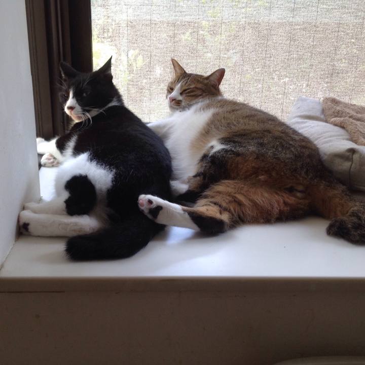 239c47a0 f161 4828 95a4 118f1565f47f