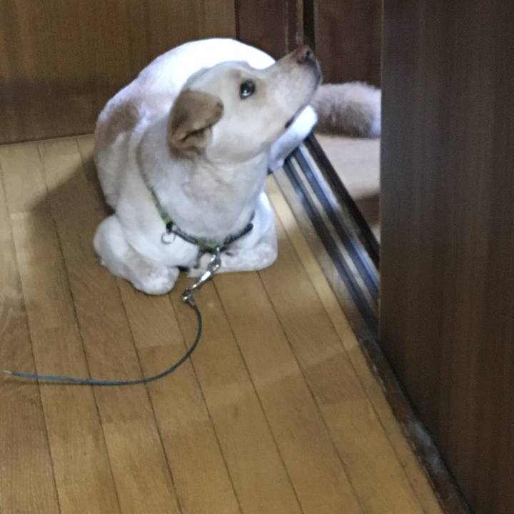 239d9cc2 a887 417f ae9a bfb02cec8a88