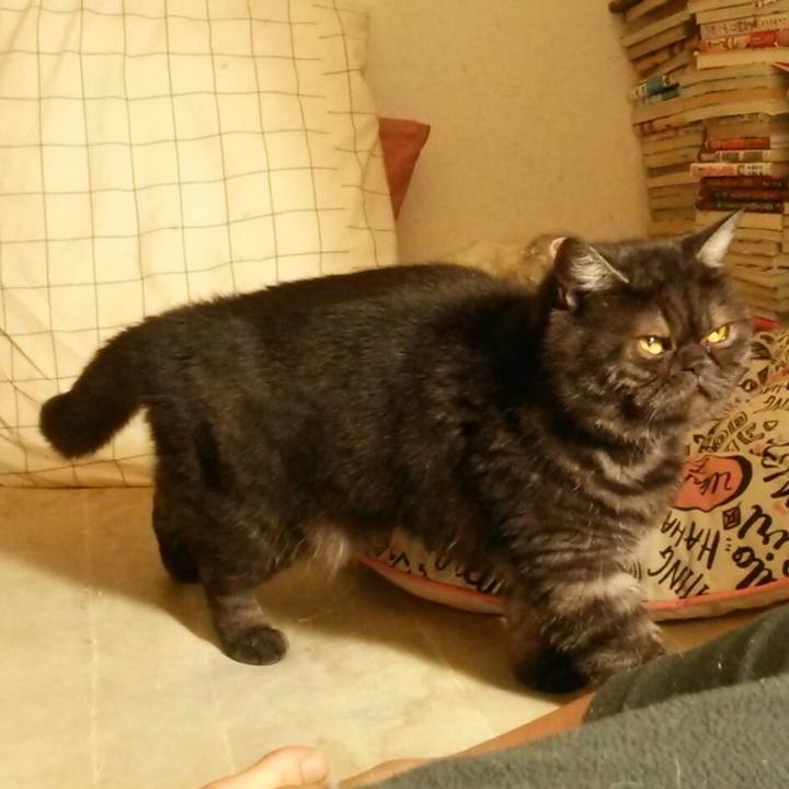 239e032c ddc2 4f82 9ed5 77e9dd077a5b