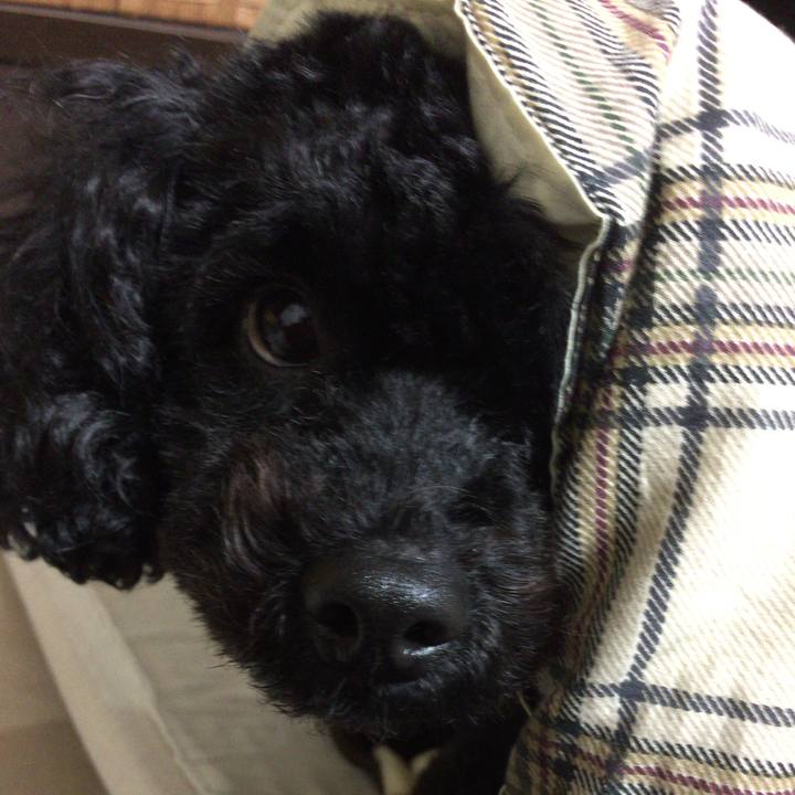 239e1fdc d42b 4bdc ad97 7c34ea25e262