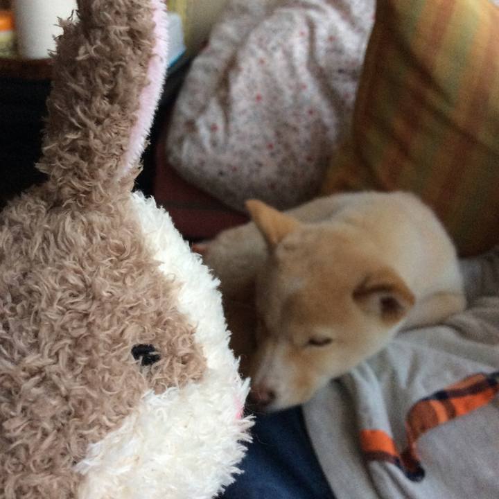 239ec197 1d47 43e4 881b ba385661c573