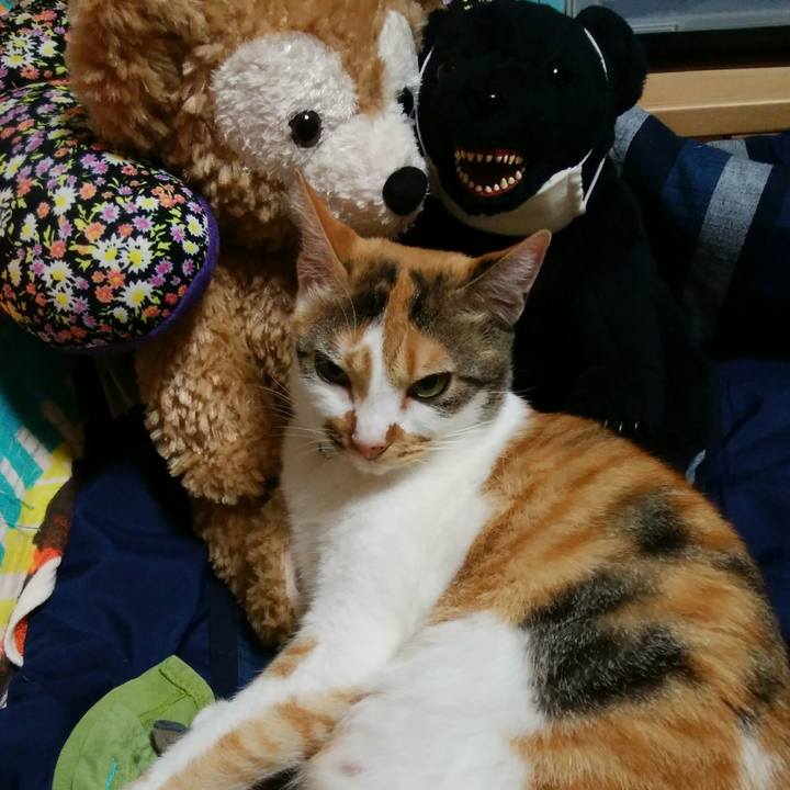 239f4a91 f9e1 4200 832b afcfaba7b491