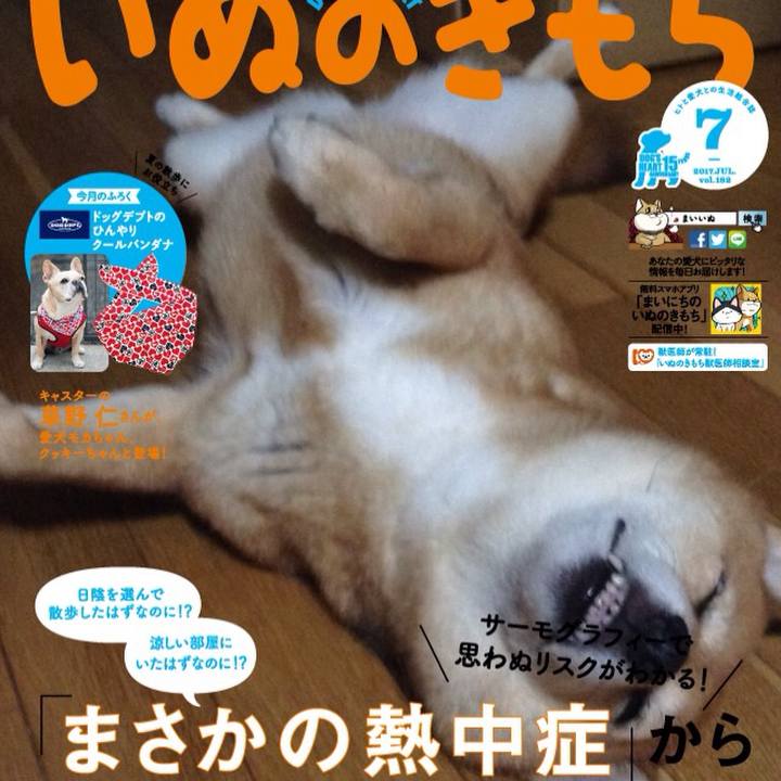 239fa944 ea2e 4320 9b67 c3387a7f48a2