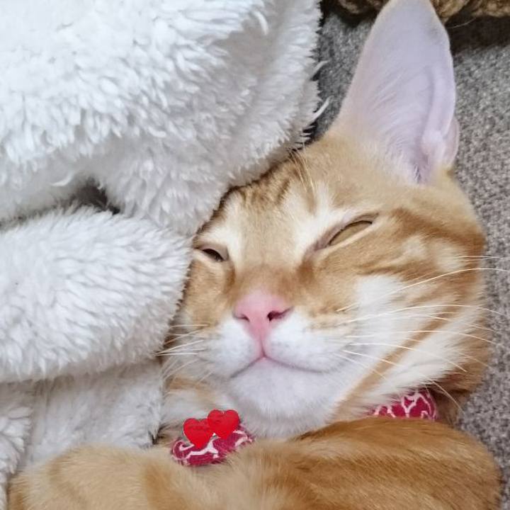 239fe4b3 8bd5 4b15 ab7a 9510941650df