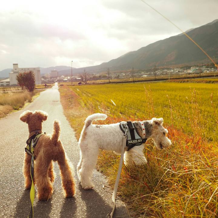 23a051e2 5320 46d6 b16f 8dc3b9cf2390