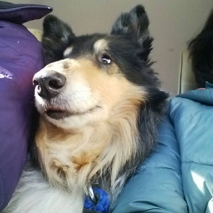 23a121f3 434b 4d28 9ab2 af1ec5733beb