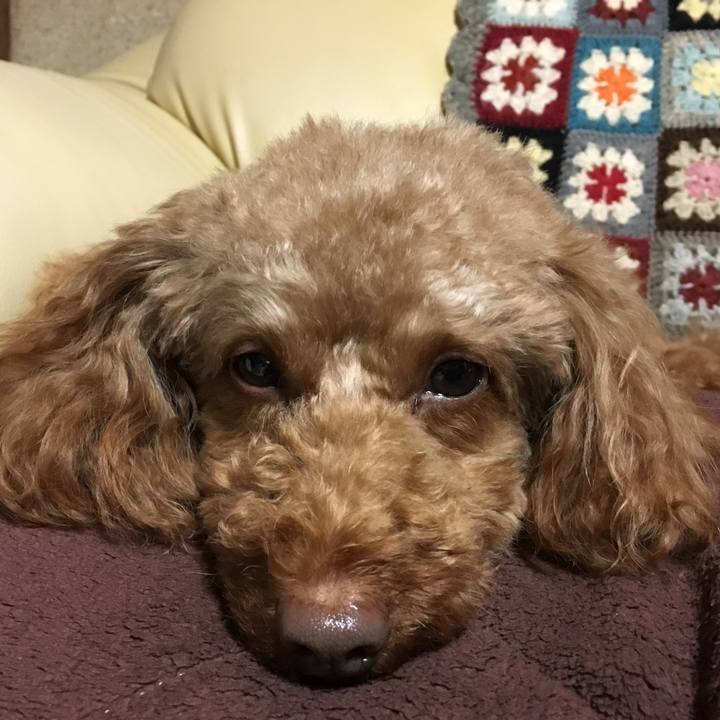 23a14d9b e910 4f29 8fac 1cf9f0aa195d