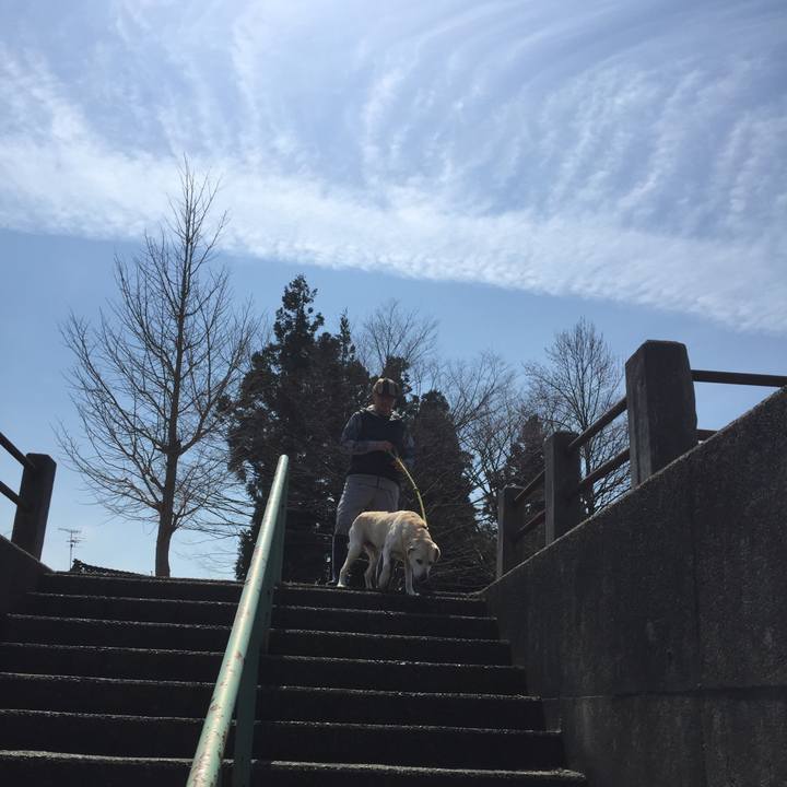 23a1fcff e2a5 4d49 84a2 72c31f7d23d5