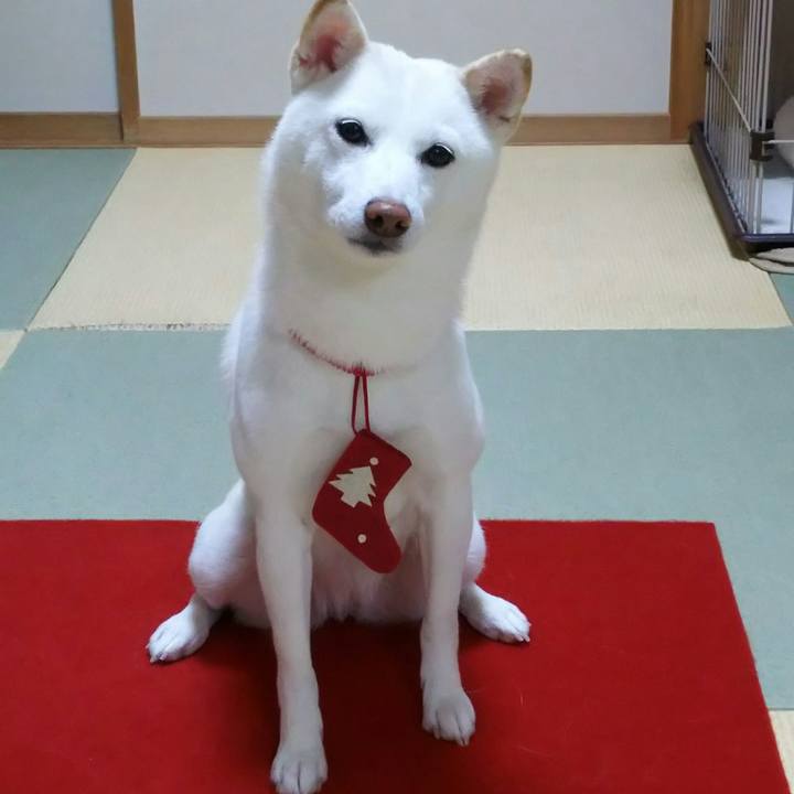 23a24569 85b7 45d0 bae7 ff68c7b7368a