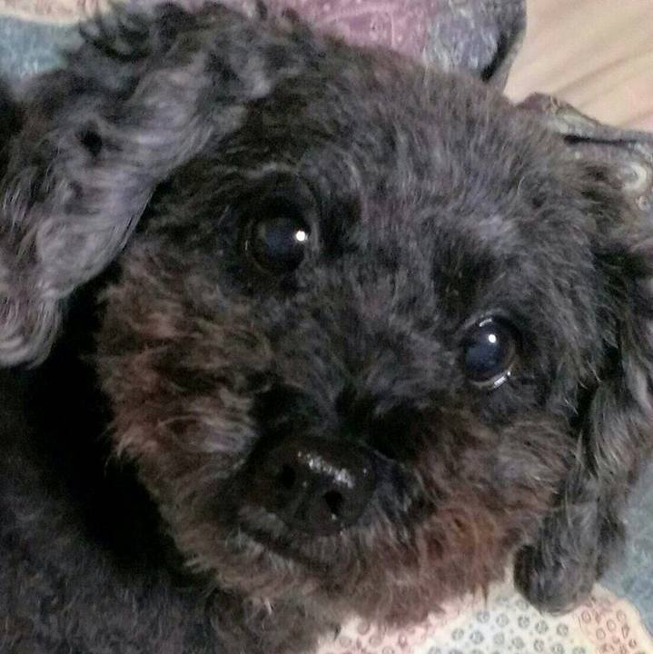 23a2b7f1 b89a 4c91 8063 d28e32e1279d