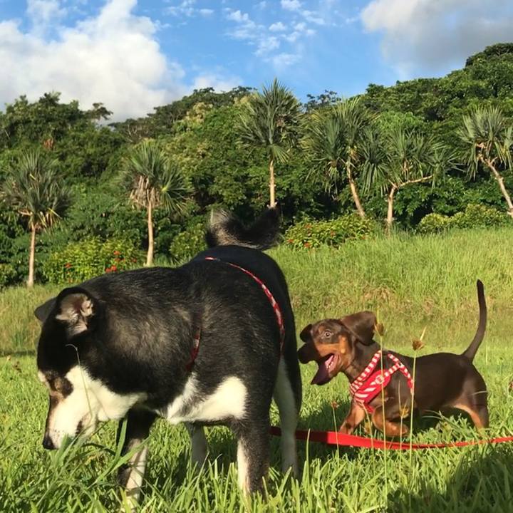 23a2cf72 3730 44a9 b334 35121fcfa880