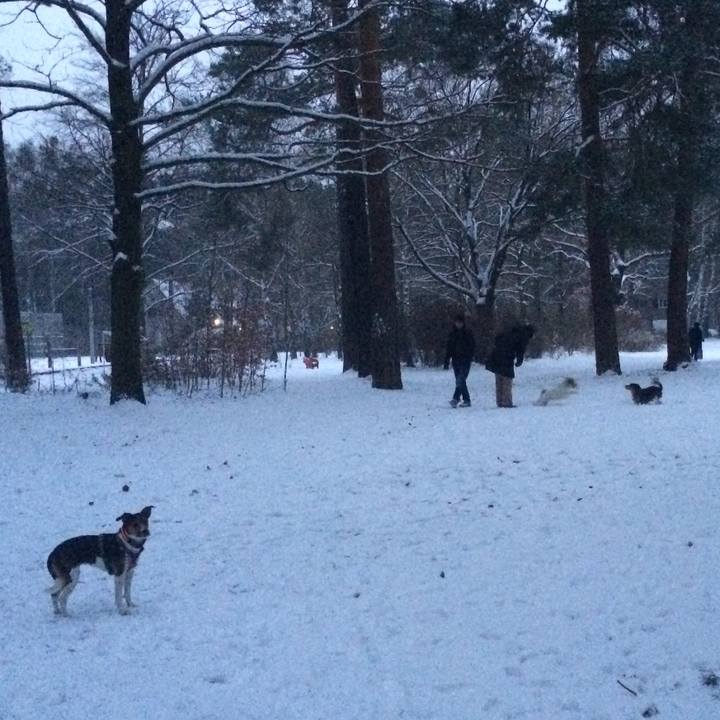 23a33867 068f 46b5 a8ed 8414d876336e