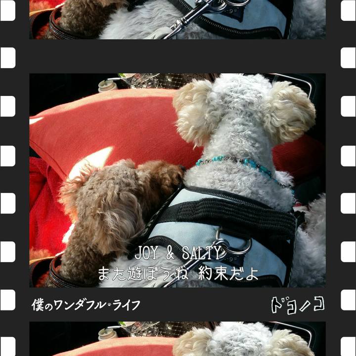 23a3e379 d3b6 4ec1 af2e fb732ba9eca5