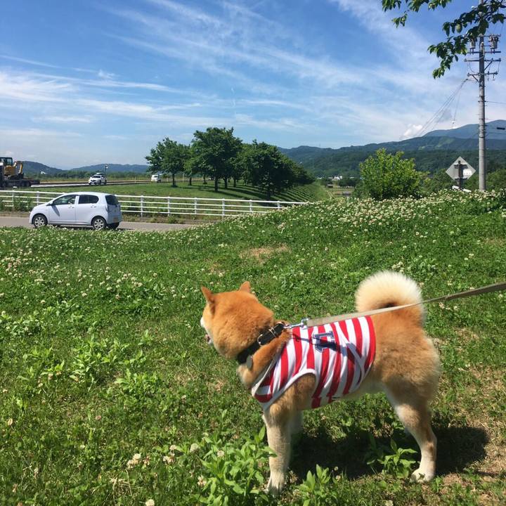 23a43372 977c 4e49 9196 15c8e7c556ad