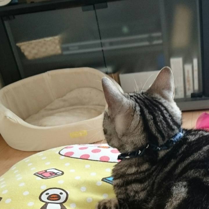 23a4a007 6204 41ae b3a1 46d05be04654