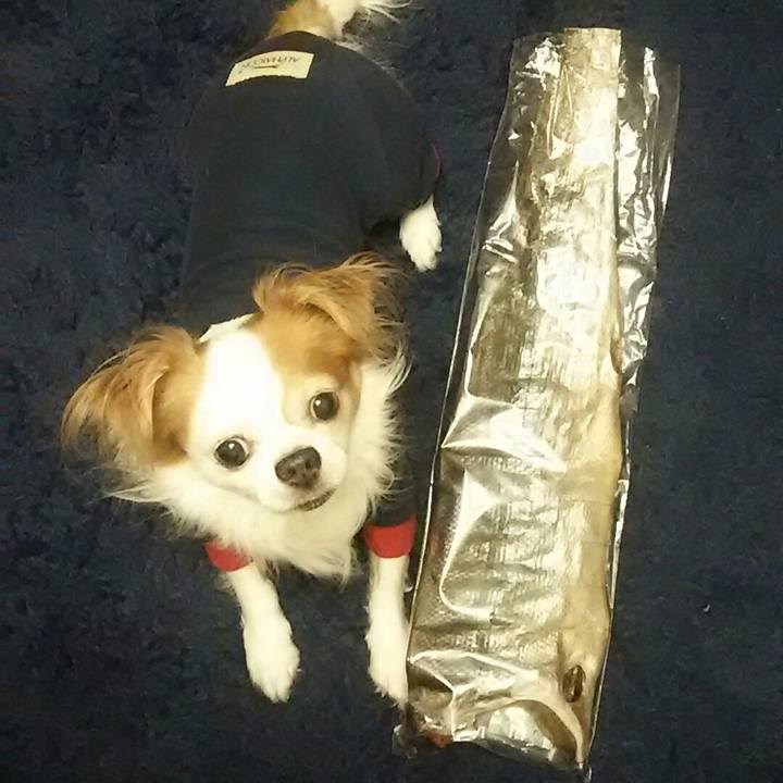 23a55f64 8604 4f74 819c 8416680e9038