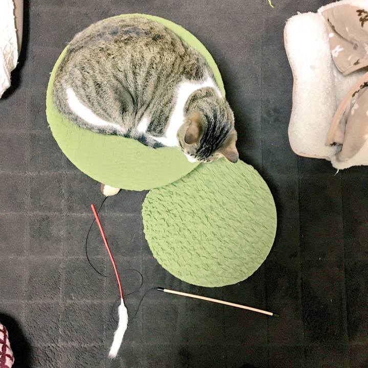 23a58e61 a97f 4730 b0fa 703f8d43e64d