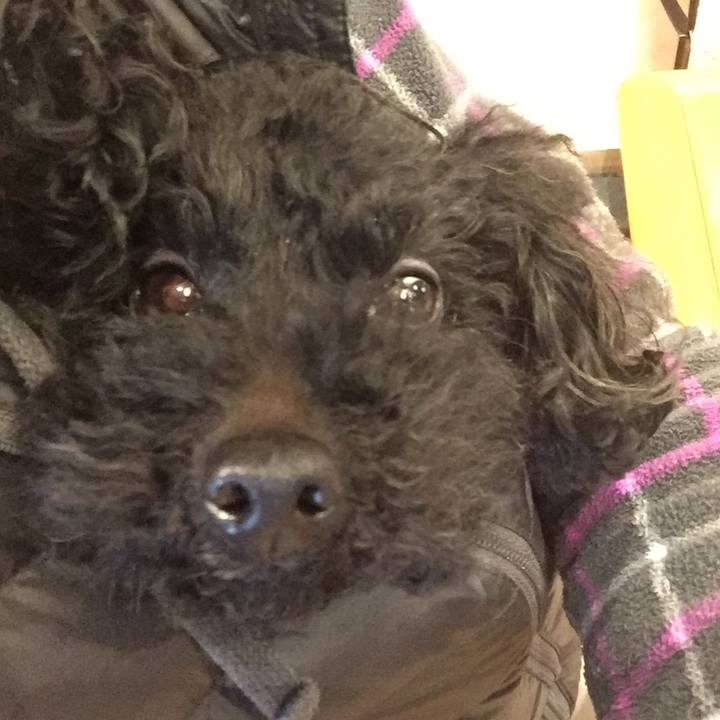 23a59637 2708 40a0 aa66 02ecae9f09c2