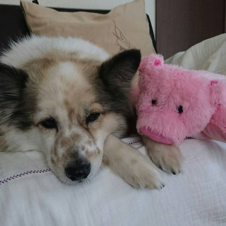 23a5c18e 7b72 46d1 a5af 19bd6d782faf