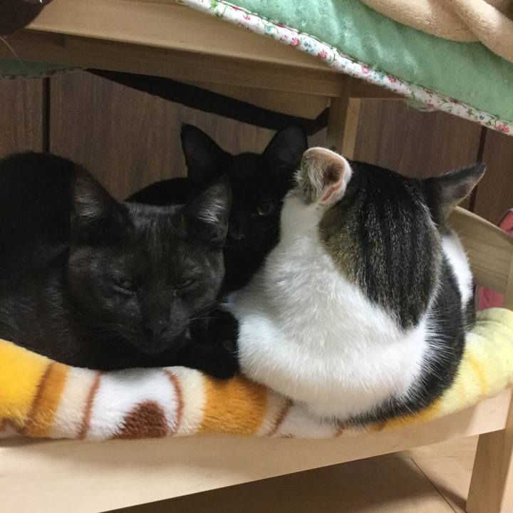 23a625ec 0068 4db5 adb7 0b6a0c329eeb