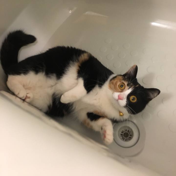 23a76bc0 c93e 443c aac7 f4aec84a3498