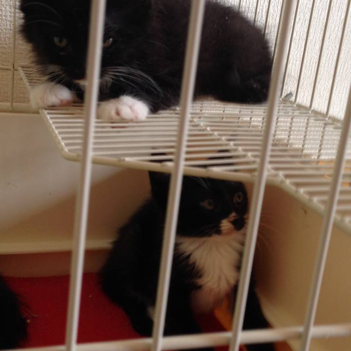 23a793cf 8c03 4f76 8c4f c1bd9d80bdc9